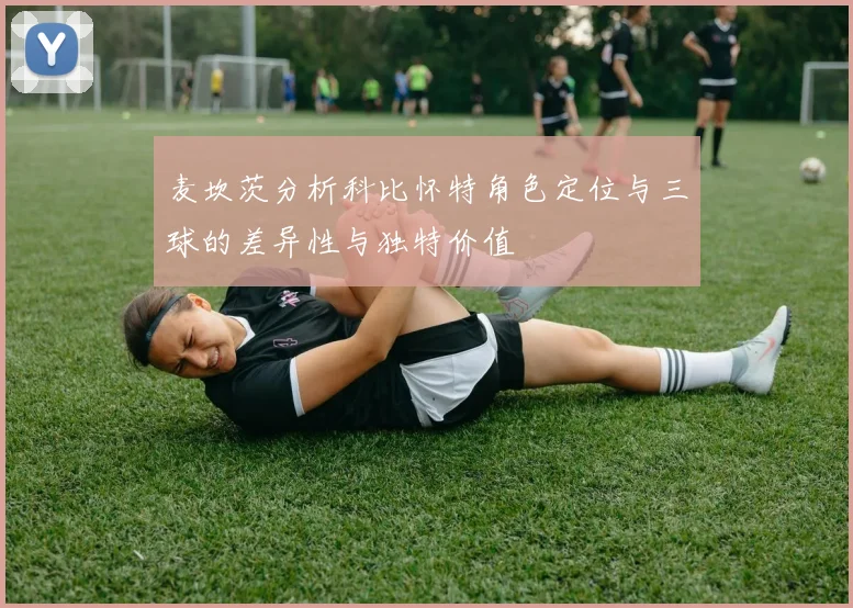 麦坎茨分析科比怀特角色定位与三球的差异性与独特价值